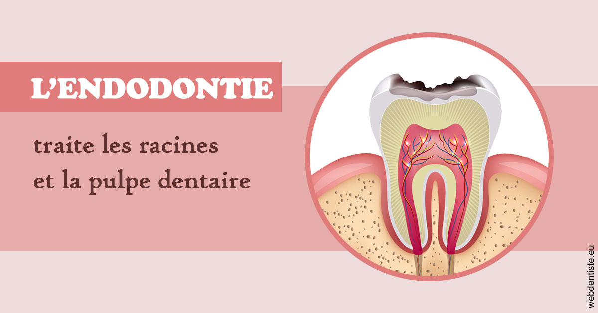 https://dr-masson-philippe.chirurgiens-dentistes.fr/L'endodontie 2