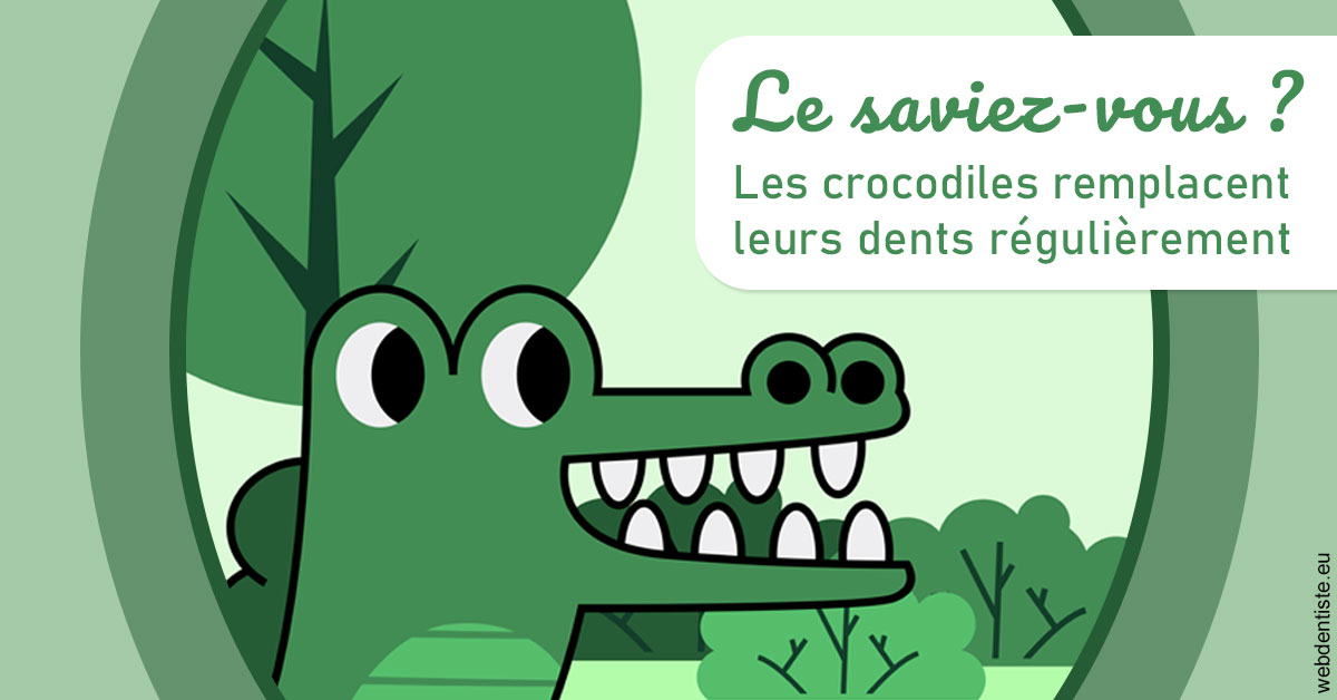 https://dr-masson-philippe.chirurgiens-dentistes.fr/Crocodiles 2