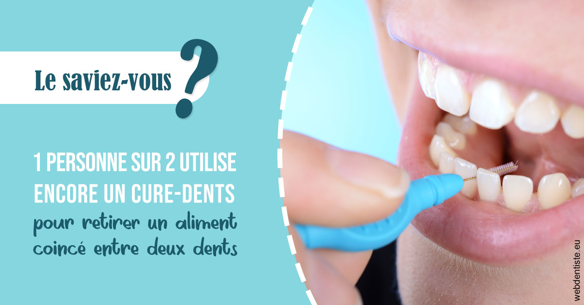 https://dr-masson-philippe.chirurgiens-dentistes.fr/Cure-dents 1